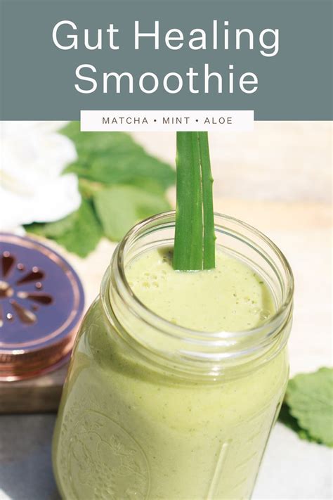 6 Gut Healing Smoothie Recipes