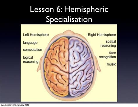 6 HEMISPHERIC SPECIALIZATION Language and other fcns 2011v2