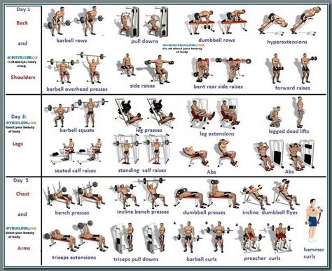 6 Important Gym Routine Exercises for Men