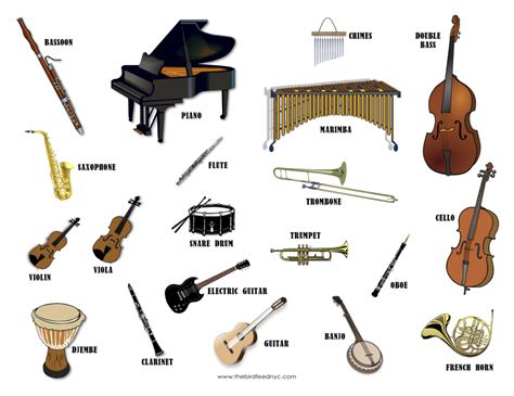 6 Instruments pdf