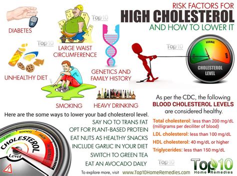 6 Lifestyle Factors That Can Lead to High Cholesterol - Allrecipes