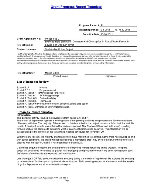 6 Month Progress Report Template PROFESSIONAL TEMPLATES