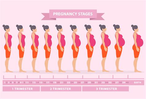 6 Months Pregnant: Body Changes, Symptoms & an