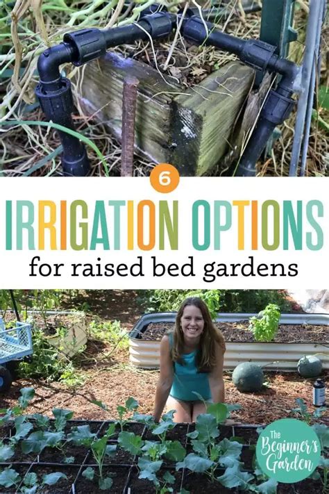 6 Raised Bed Irrigation Options for Home Gardens - raincitystudios.com