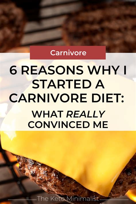 6 Reasons Why I Started a Carnivore Diet: What REALLY …