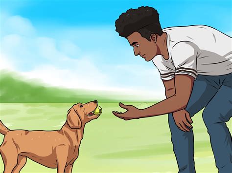 6 Reasons Your Dog Won’t Fetch And Useful Tips To Train Them