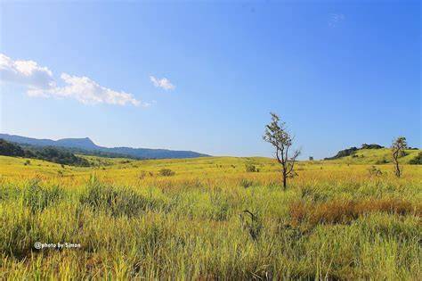 6 Savana Terindah yang ada di Flores - raincitystudios.com