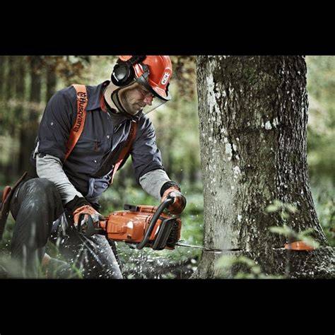 6 steps to successful tree felling | Husqvarna MY - raincitystudios.com