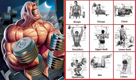 6 Signs You Need to Change Exercises