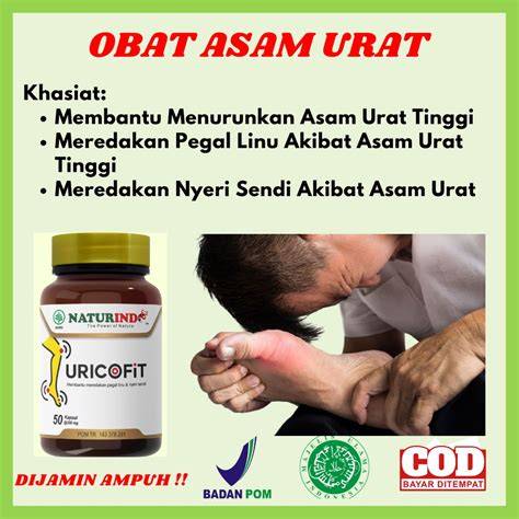 6 Tanaman Obat Untuk Penderita Asam Urat - Bibit Bunga - raincitystudios.com