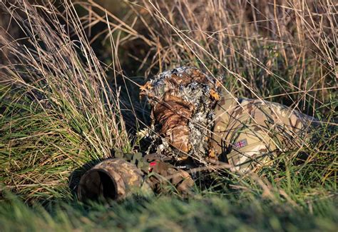 6 Tips for Better Fieldcraft in Wildlife Photography