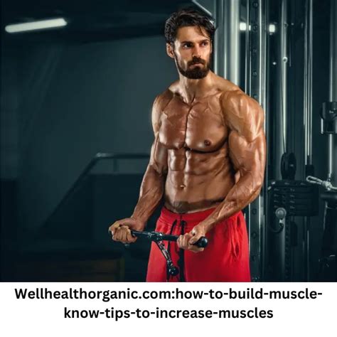 6 Tips for How to Build and Maintain Muscle