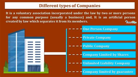 6 Types of Companies