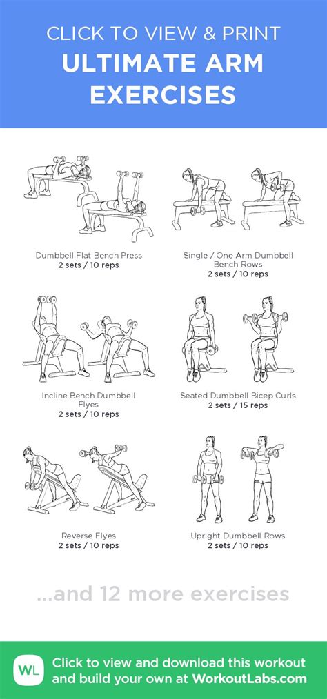 6 Ultimate Arm Exercises For Beginners