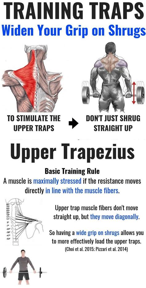 6 Upper Trap Exercises for Beginners to Build Muscle and Strength