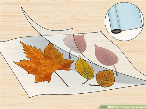 6 Ways to Preserve Fall Leaves - The Tech Edvocate - muktibox.com