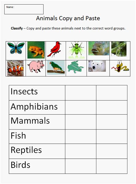 6 Animals Worksheets Life Science Amp Life Science Worksheets - Life Science Worksheets