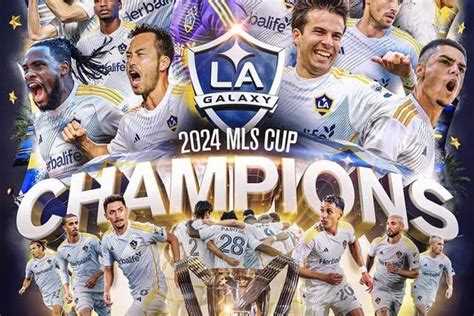 6 Cups In Mls