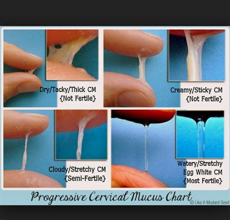 1. Thick cervical mucus. Just after ovulation occurs, there is a surge in progesterone hormone, which thickens cervical mucus to become sticky or creamy discharge. 2. Your basal body temperature rises. Due to high progesterone levels, your basal temperature will rise. 3. Low cervix after ovulation. 