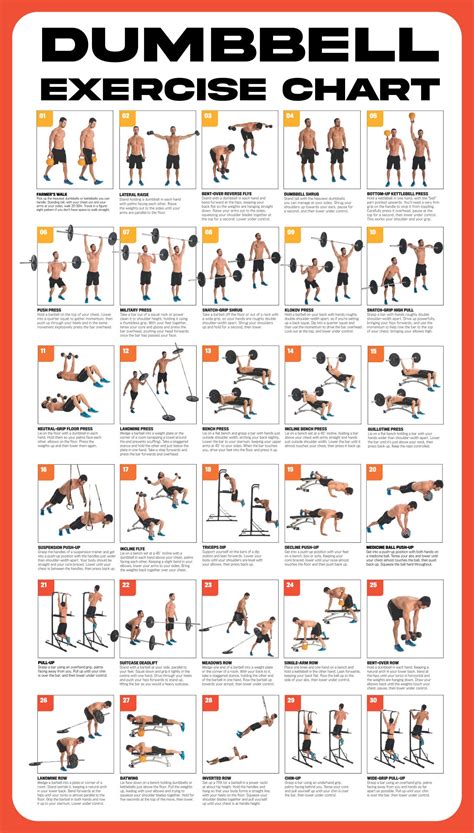 6 easy dumbbell exercises for beginners