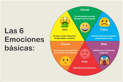6 Emociones Basicas