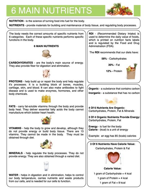 6 Essential Nutrients Worksheet   Nutrition Worksheet Term Paper - 6 Essential Nutrients Worksheet