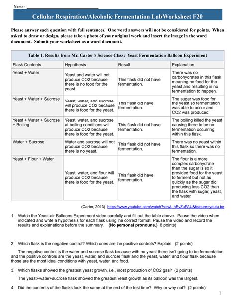 6 Fermentation Worksheet F20 3 Name Cellular Respiration Cellular Respiration And Fermentation Worksheet - Cellular Respiration And Fermentation Worksheet