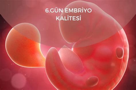 6 gün embriyo kalitesi