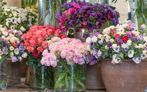 6 Gorgeous Mid Winter Flowers To Buy In Paris Balcony Flowers - Paris Balcony Flowers