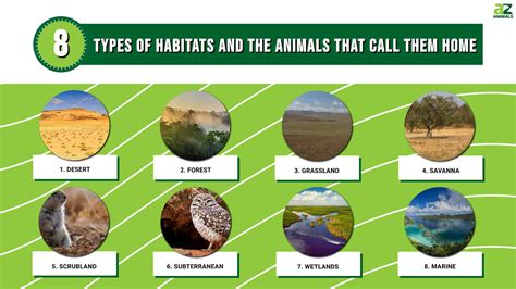 6 Habitats Where Animals Amp Plants Live Amazing Habitat Kindergarten - Habitat Kindergarten
