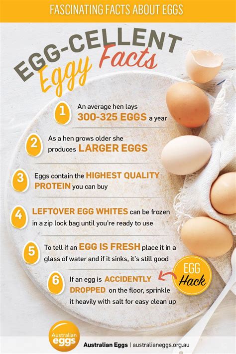 6 Incredible Egg Facts Just In Time For Eggs Science - Eggs Science