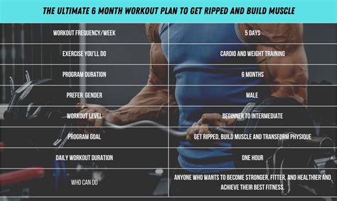 6 Month Workout Plan