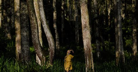 Perkembangan sistem klasifikasi makhluk hidup dari 2