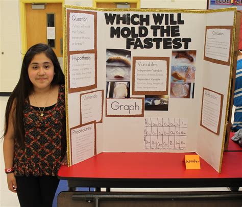 6 Science Fair Ideas For 8th Graders Science Experiment For 8th Graders - Science Experiment For 8th Graders