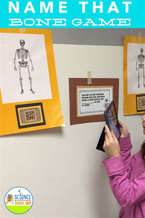 6 Skeletal System Game Ideas For Studying Bones Skeletal System For 5th Grade - Skeletal System For 5th Grade