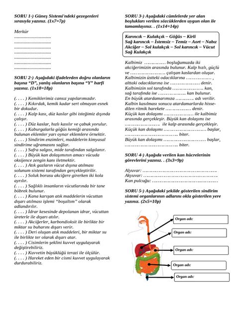 6 Sınıf Resimler