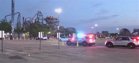 6 teens arrested after fight outside Six Flags Great America