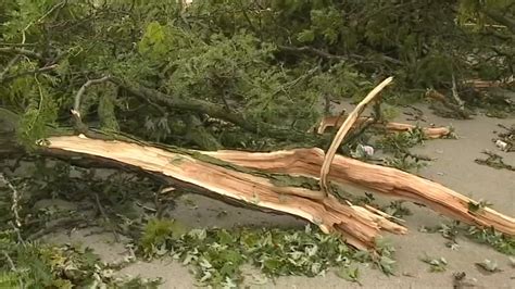 6 tornadoes confirmed as Michigan storms down trees and power lines; 5 people killed