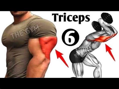 6 triceps exercises to get bulky arms