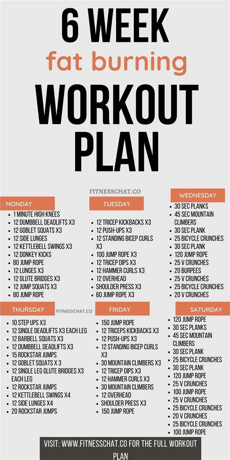 6 Week Workout Plan