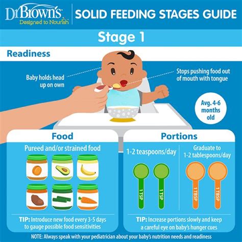 Full Download 6 Month Feeding Guide 