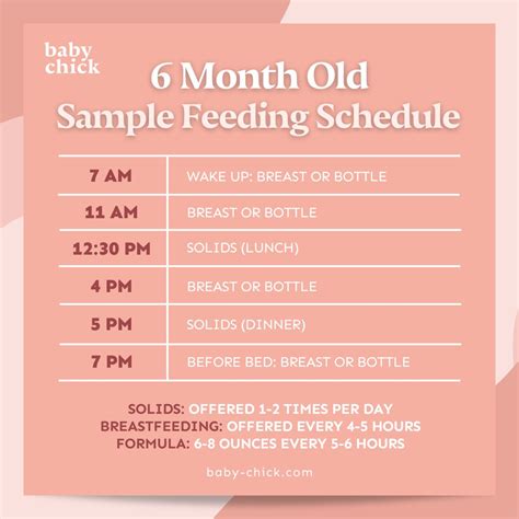 Read Online 6 Month Feeding Guide 