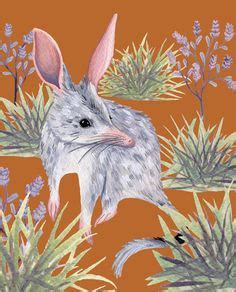 60 Best Australian Wildlife Art - Favourites ideas