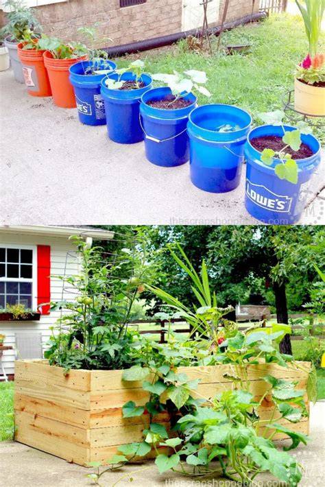 60 Container Orchard ideas | container gardening, vegetable garden ... - raincitystudios.com