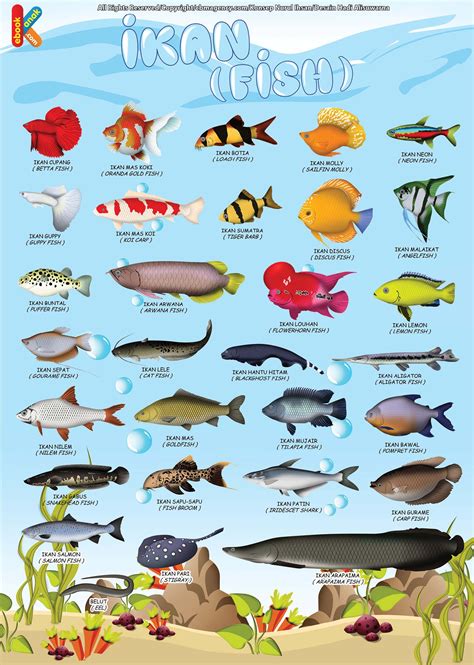 60 Nama-Nama Ikan dalam Bahasa Inggris dan Artinya - ENGLISH 1 - wintechmobiles.com