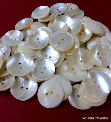 60 Natural River Shell Buttons Shell Button White Shell - Etsy