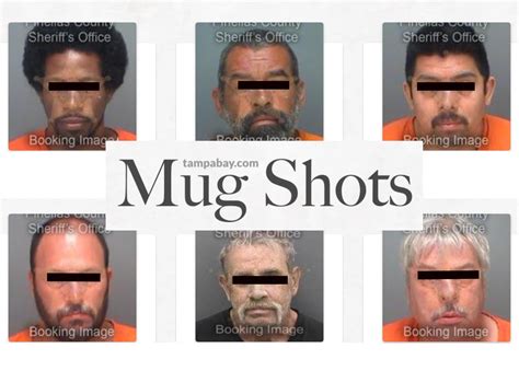 See more of Tampa Bay Mugshots - Hillsborough on Facebook. Log In. Forgot account? or. Create new account. Not now. Related Pages. Mugshots St. Pete - Pinellas. Media/News Company. Pasco County Arrests. Public & Government Service. Central Florida Crime Alerts. Media/News Company. Transgender Network Tampa.. 