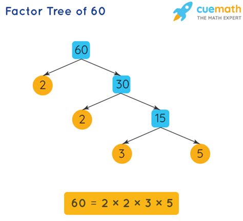 60 Prime Factorization
