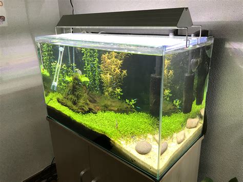 60cm規格水槽の大きさは？