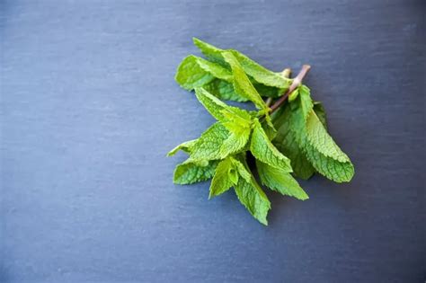 61 Peppermint Nutrition Facts: Everything To Know About The Herb